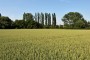 Feld MMB 9734