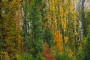 Herbststimmung MMB0091