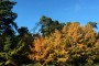 Herbststimmung MMB3030