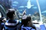 20160106 Sealife Inventur IMG 8421b