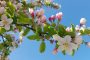 BILD03