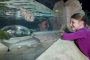 SEA Bild203
