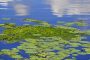 BaldeneySee MMB0087