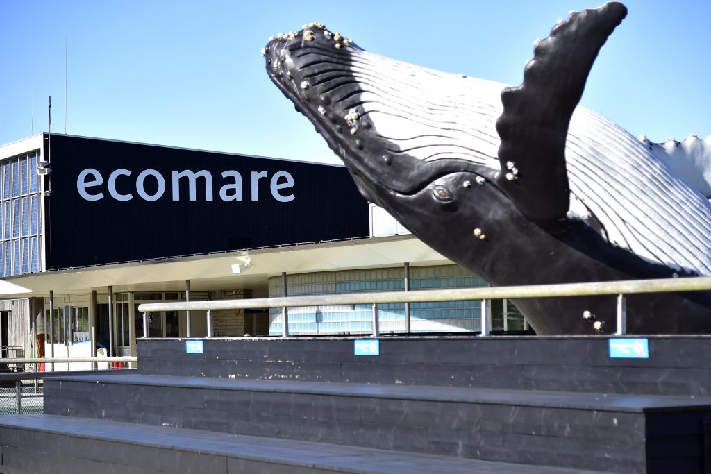 GIBT EINE ZWEITE STARTHILFE FÜRS LEBEN [ NATURSCHUTZruhr ]