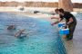 ZOO darwin and diego rancho texas2