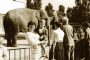 IMG 20170307 zoo1