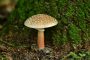 Pilz MMB5312