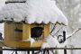 Amsel Schnee MMB0029