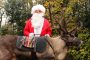 Weihnachtsmann Rudolph