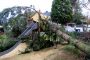 KrUN Spielplatz RostockerStr 184491P