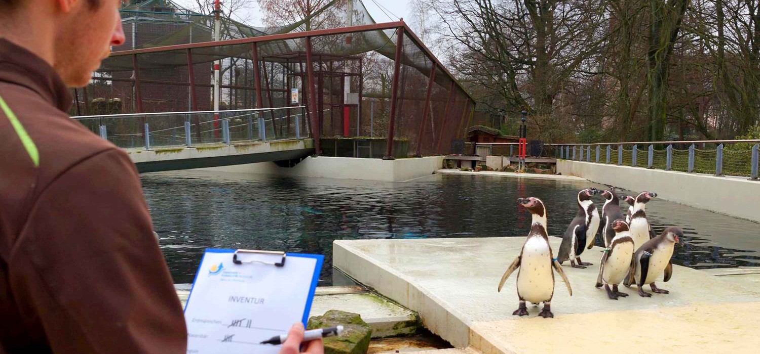 TIERPARK FOSSILIUM BOCHUM Inventur Und Neuer Besucherrekord In 2017 