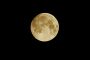Mond MMB2095
