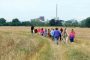 Kinder wandern mit Lamas in den Rheinauen