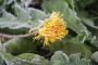 20200504 PM WetterOnisheilige01bild