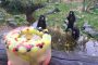 33 2020 Abkuehlung fuer Zootiere Fotoquelle Zoo Duisburg 5