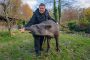 Tapir Kuni und Birgit Zoerner Marcel Stawinoga
