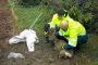 fw e junger rehbock verf ngt sich im zaun feuerwehr hilft ihm wieder auf die spr nge