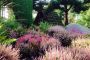 Heide Moor mit Kate P.Knopf