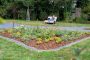 31 Pocket Park 4