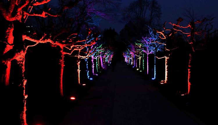 © Naturfotografie A. Schäfer  |  Parkleuchten in der Essener GRUGA
