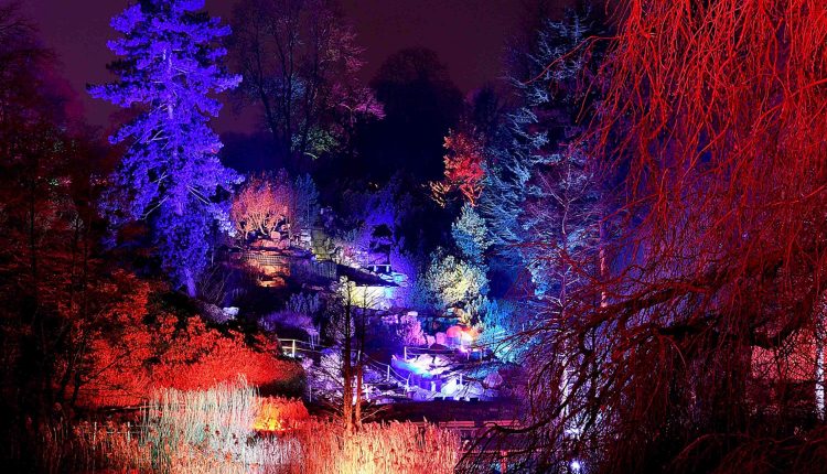 © Naturfotografie A. Schäfer  |  Parkleuchten in der Essener GRUGA