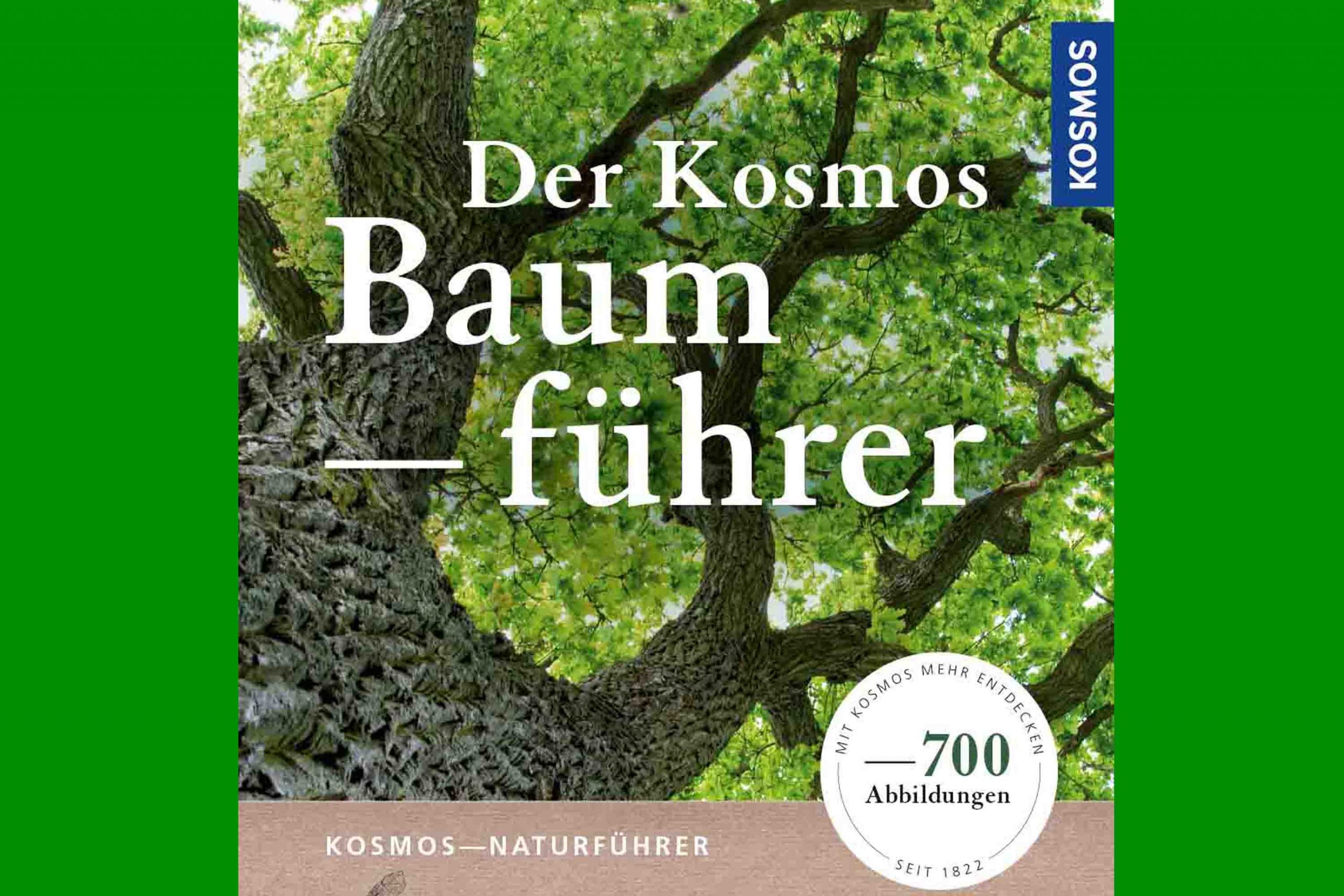 KOS Baumfuehrer2 scaled