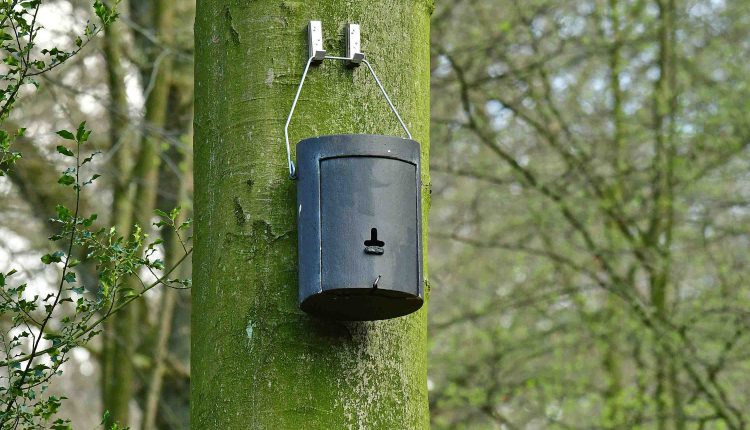 © MMB/Below  |  Nisthilfe