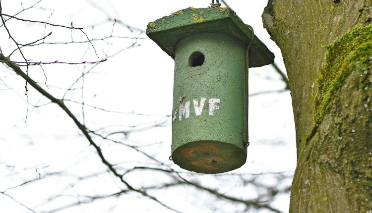 © MMB/Below  |  Nisthilfe aus Beton