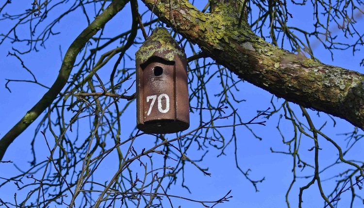 © MMB/Below  |  Nisthilfe aus Beton