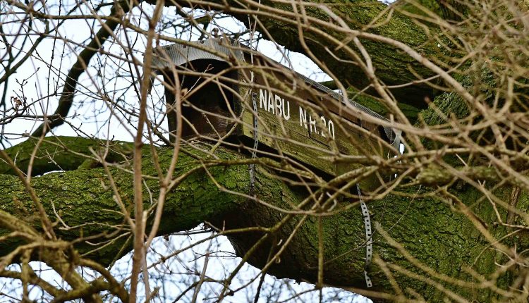 © MMB/Below  |  Nisthilfe