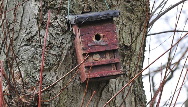 © MMB/Below  |  Nisthilfe