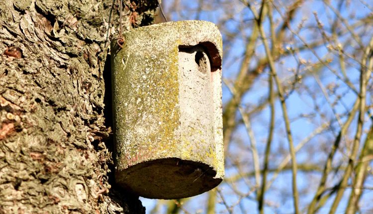 © MMB/Below  |  Nisthilfe