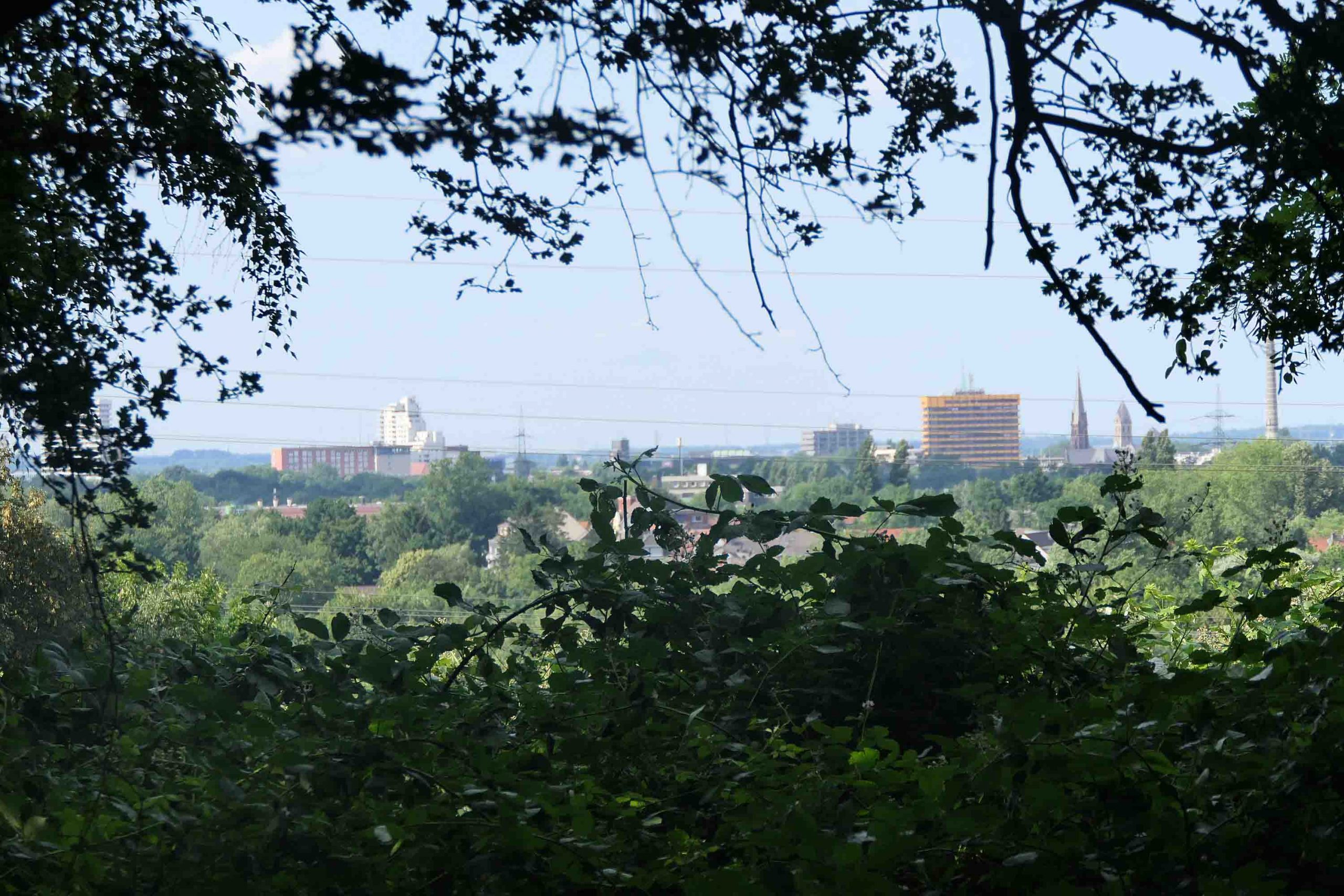EG NSG E 005 Blick gen Gelsenkirchen scaled
