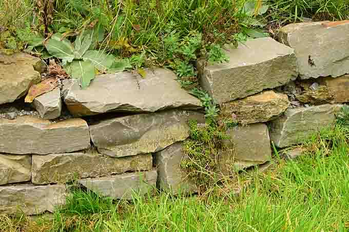 kraeutergarten trockenmauer MMB16a