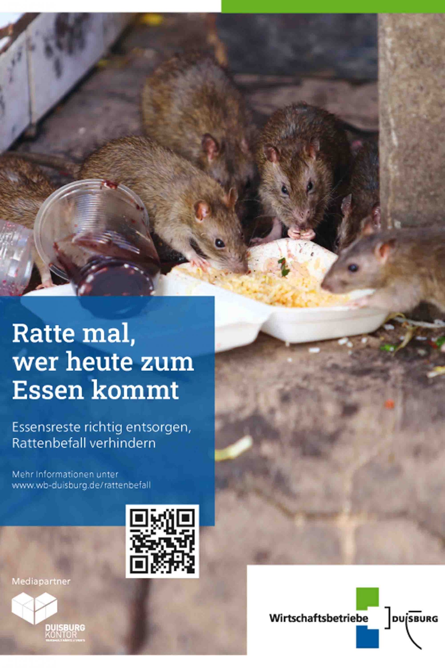 RATTE MAL WER HEUTE ZUM ESSEN KOMMT - [ NATURSCHUTZruhr ]