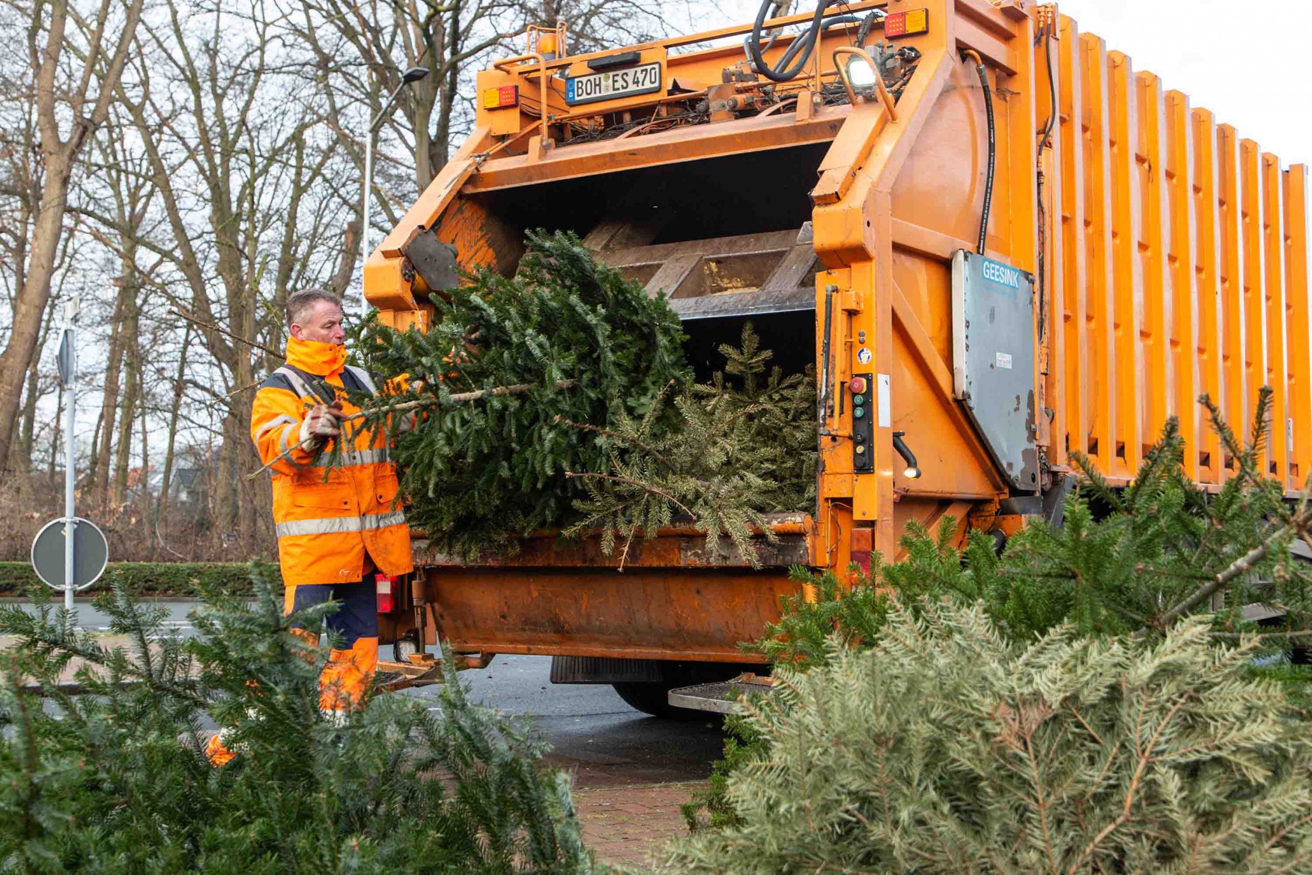 Weihnachtsbaum