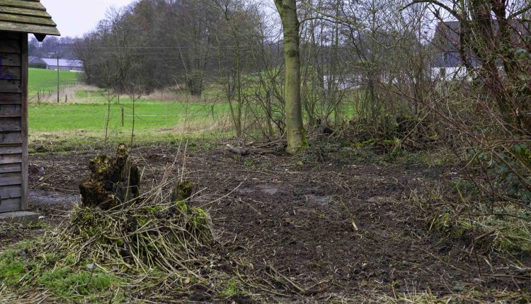 Abtsk180224 Dammerhoehung 7