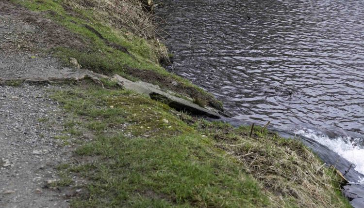 Abtsk180224 kuenstl Zulauf 5