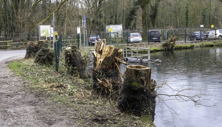 Abtsk180224 kuenstl Zulauf 8