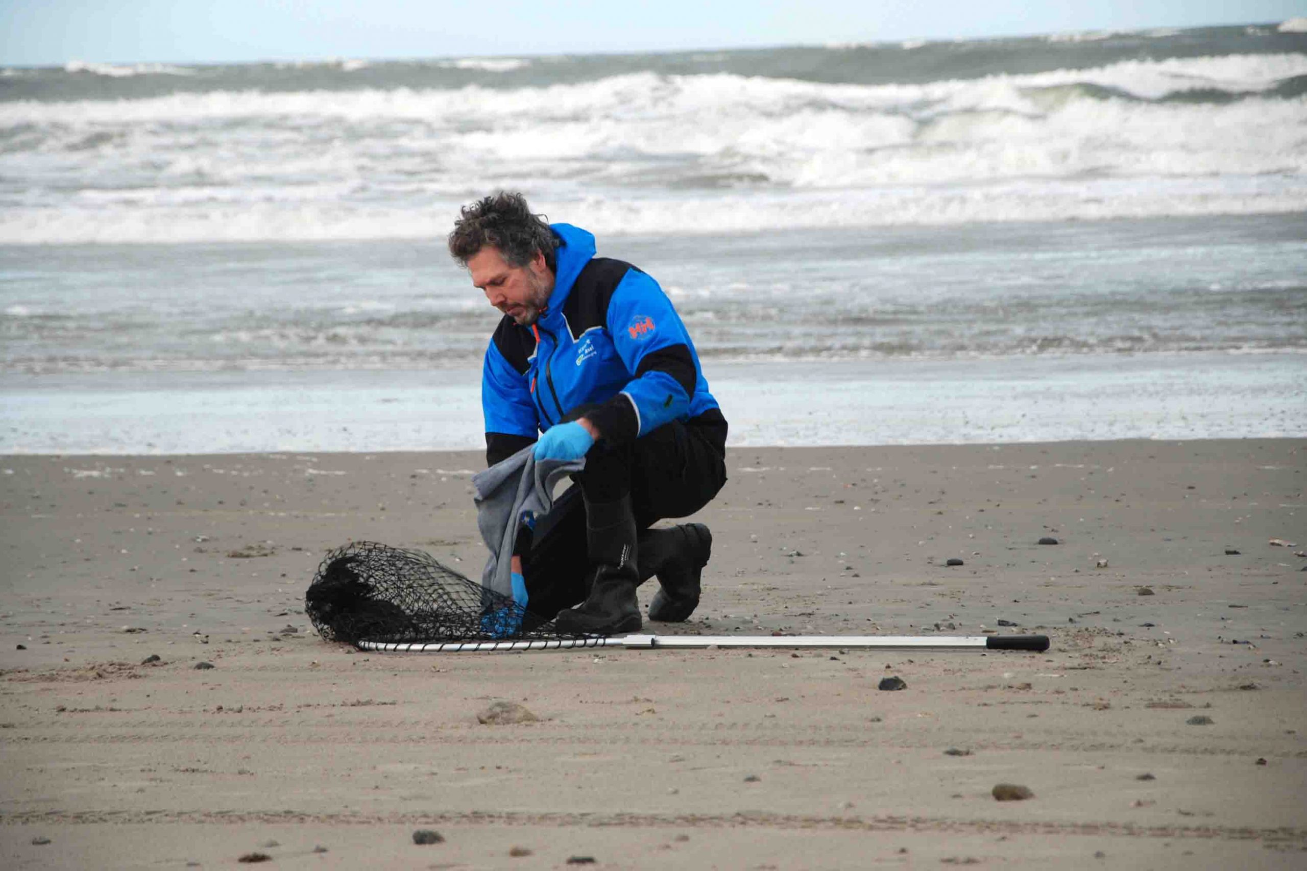 olievogel vangen op strand scaled