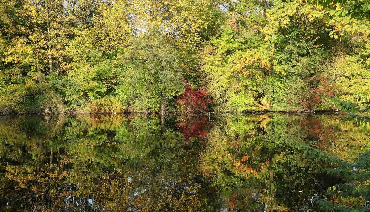 Herbstspiegelung