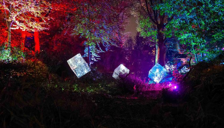 DU Zoolichter beliebte Fotospots Bild 1