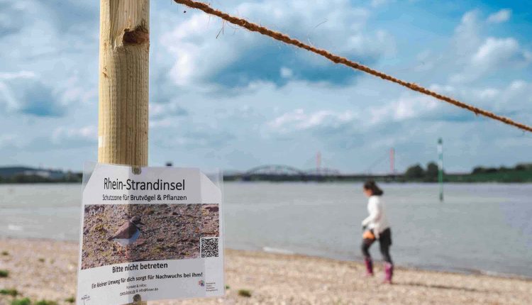 240412 Schutzinseln 005 TP5