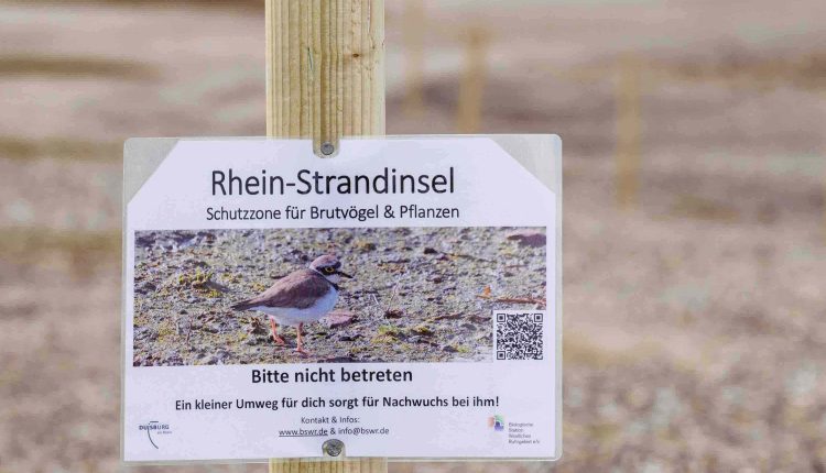 240412 Schutzinseln 010 TP1